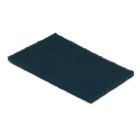LPS Detex Scouring Pad