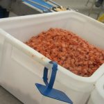 A case study on the development and use of new food grade detectable ID tags - for FoodPro Manufacturing Ltd